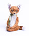 Mad Fox Morgganne_687