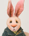 Mini Bunny Patrick_467
