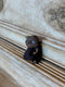 Mini Bernie_61