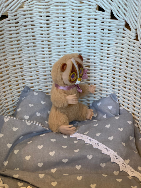 Mini Koala Coddy_194