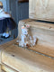 Minimini hare Markiza_69