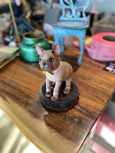 Mini bulldog Buddy_625