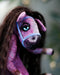 Horse Nydia_401