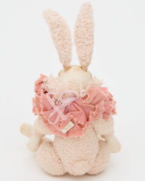 Teddy Bunny Fred_439