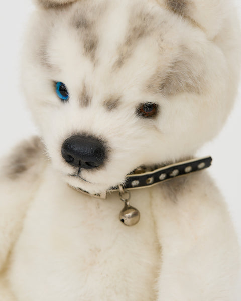 Husky_829