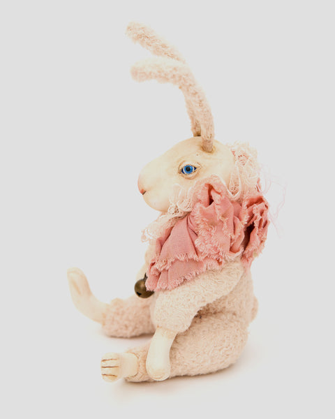 Teddy Bunny Fred_439