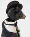 Bear Nathanyell_534